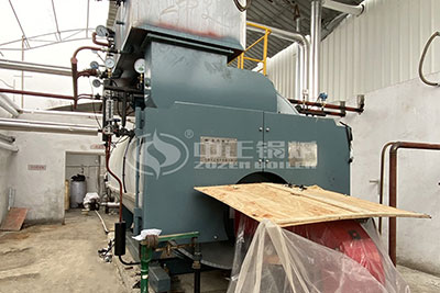 5 tons gas steam boiler sales