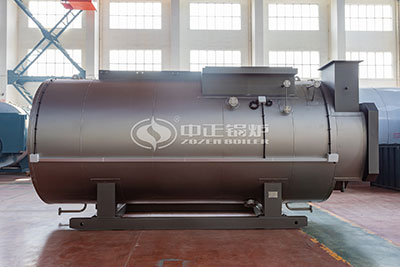 gas steam boiler