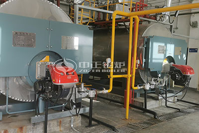 gas steam boiler