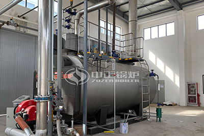 natural gas steam boiler