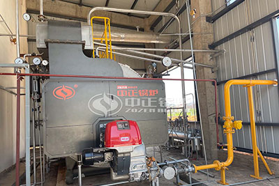 4 tons gas fired boiler