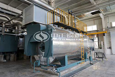 Gas Steam Boiler