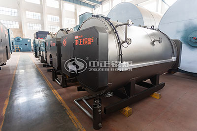 WNS gas fired boiler