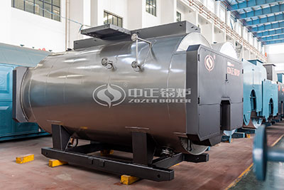 wns industrial hot water boiler