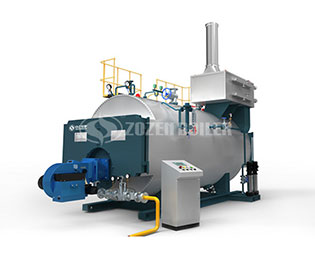 Oil Gas Fired Boiler