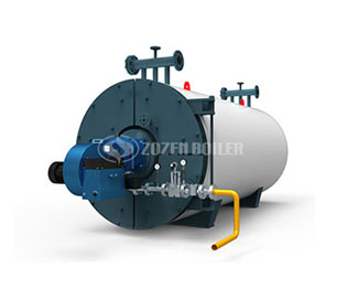 Thermal Oil Boiler